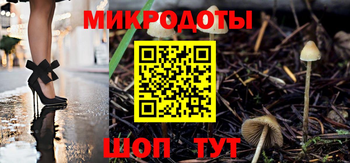 Галлюциногенные грибы Psilocybine cubensis  Вход с VPN  Галлюциногенные грибы ЛСД  Реж 