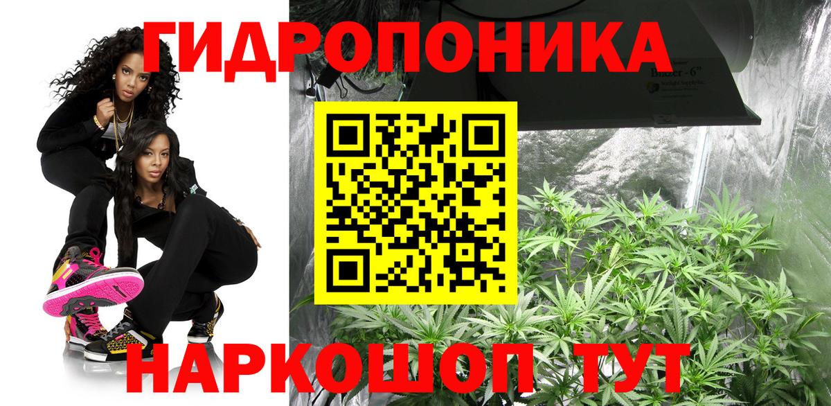 Реж  Конопля семена  Вход с VPN  Бошки марихуана план  Марихуана план  Шишки марихуана OG Kush 